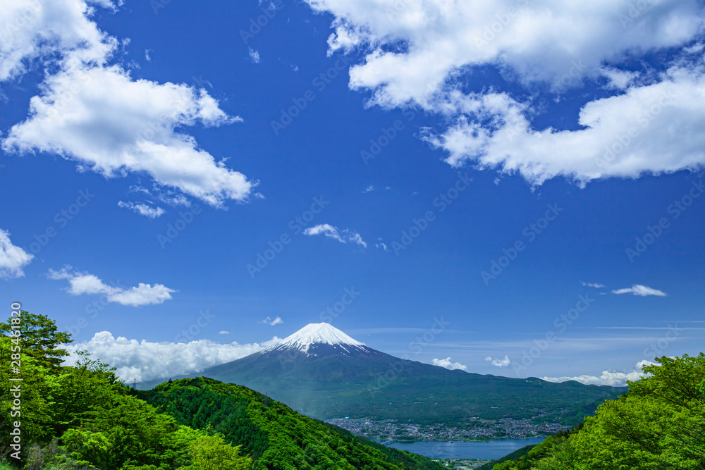 Fototapeta premium 富士山と雲と新緑の木立
