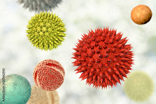 Tableau sur toile Pollen grains from different plants, 3D illustration