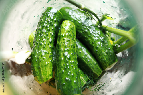 Details of pickling cucumbers