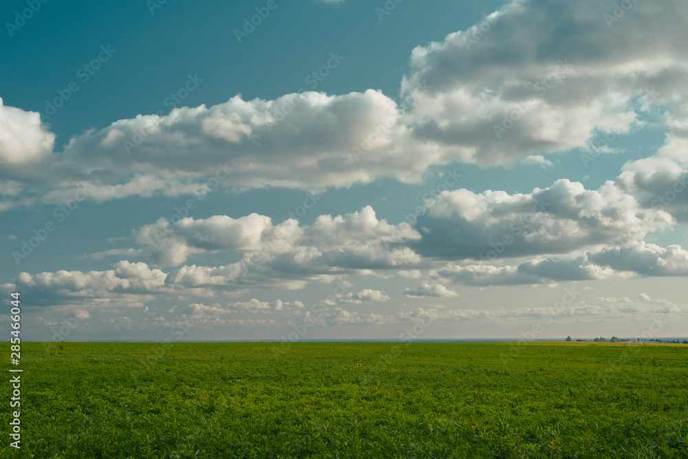 Fresh and beautiful Summer Landscape - cyan sky and green grass. Field, sky and puffy clouds. Samara, Russia Fresh and beautiful Summer Landscape - cyan sky and green grass. Field, sky and puffy clouds. Samara, Russia
