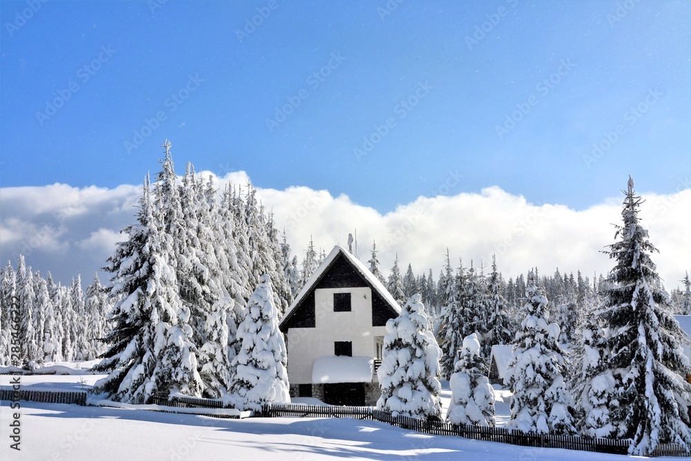 cottage near forest in winter