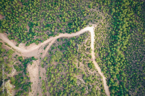 Top down view of road bending through trees at sunset