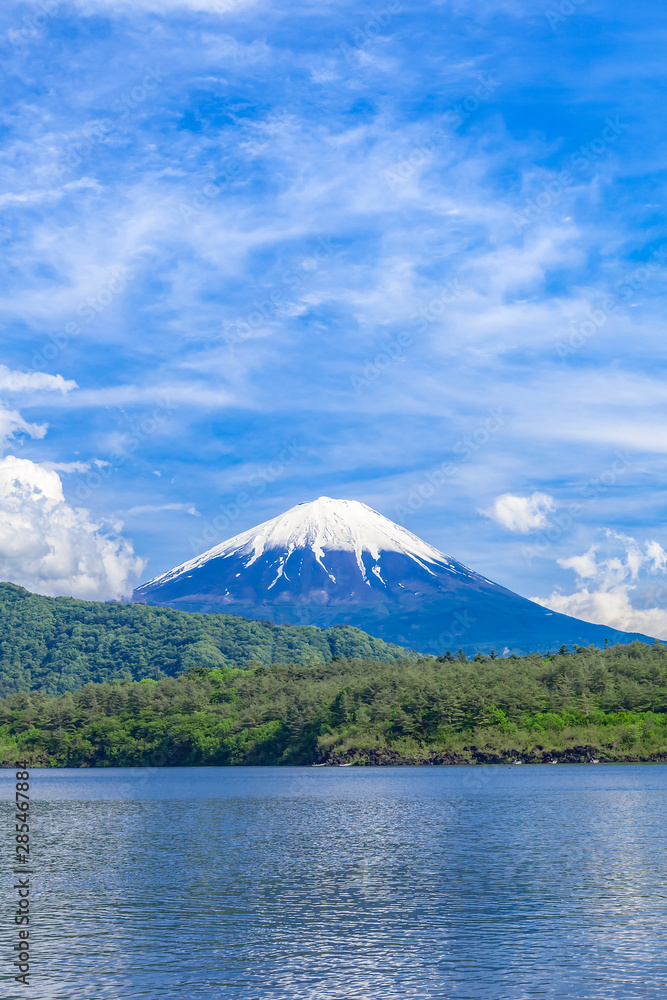 富士山と新緑の西湖