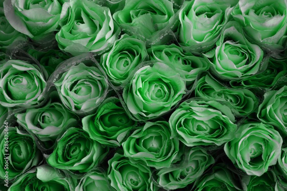 Beautiful palegreen rose flowers arranged in beautiful order Beautiful palegreen rose flowers arranged in beautiful order