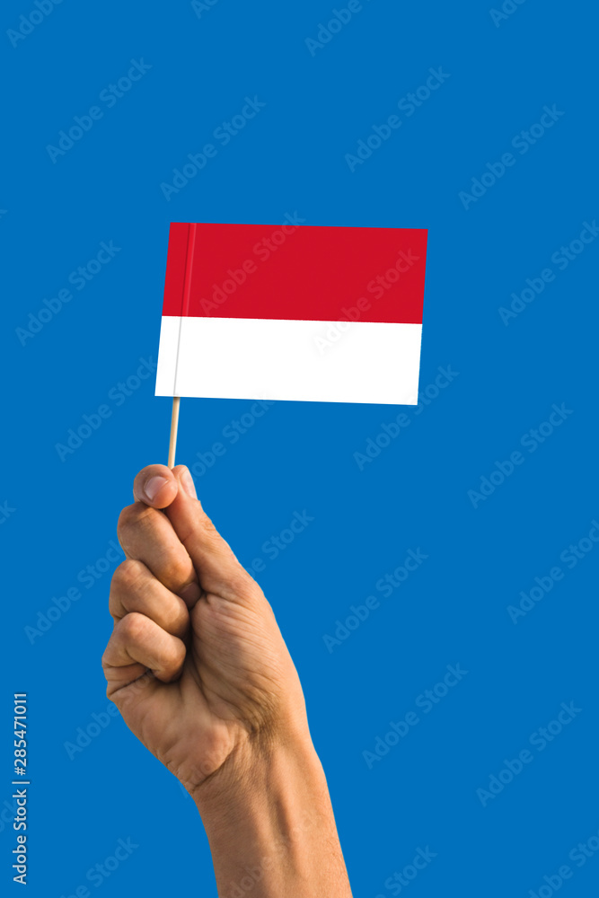 Woman hand holding Monaco flag with stick, waving flag on deep blue sky. National theme, deep blue sky. Woman hand holding Monaco flag with stick, waving flag on deep blue sky. National theme, deep blue sky.