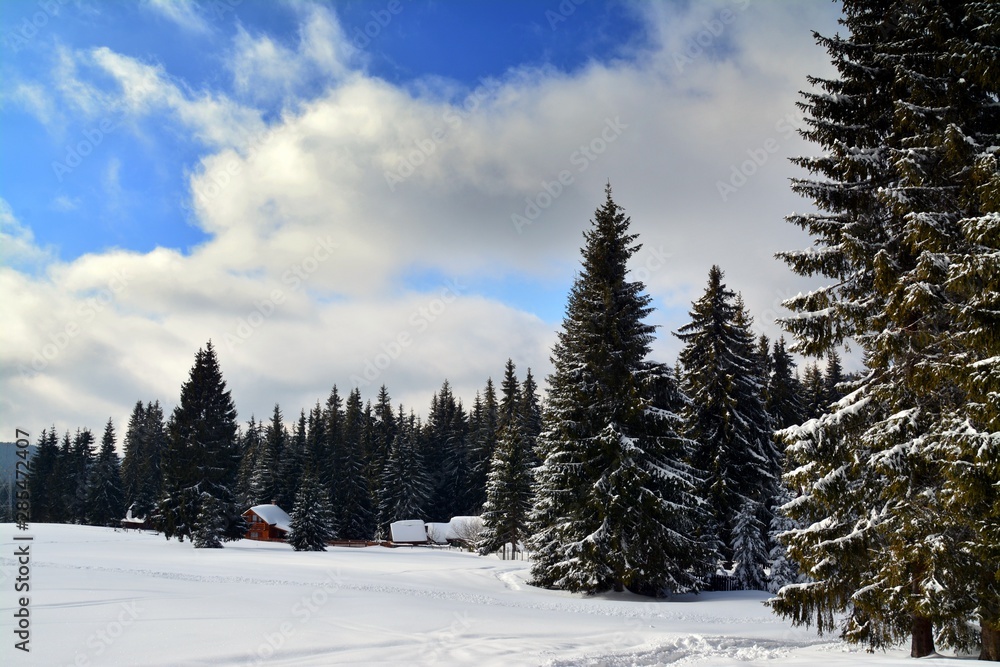 winter landscape on the mountain winter landscape on the mountain
