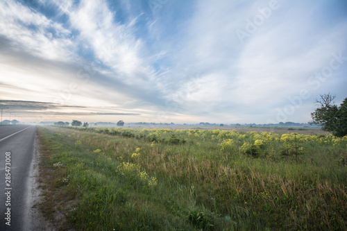 Green field landscape road sky on light background.