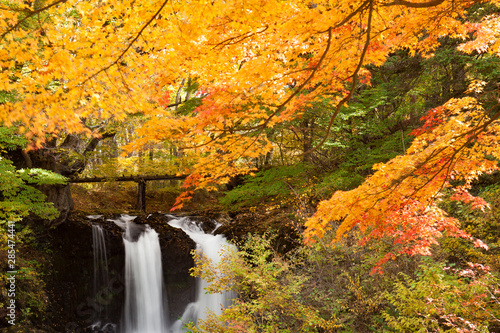 紅葉の滝 鐘山の滝