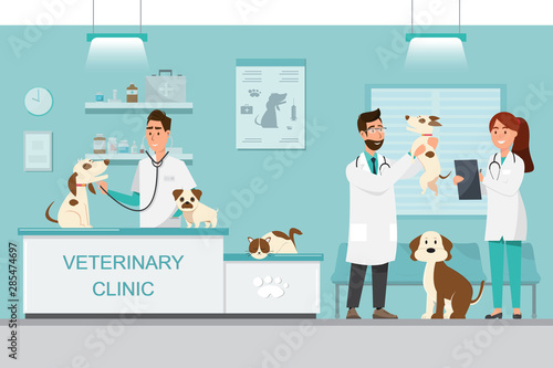 Veterinarian and doctor with dog and cat on counter in vet clinic photo