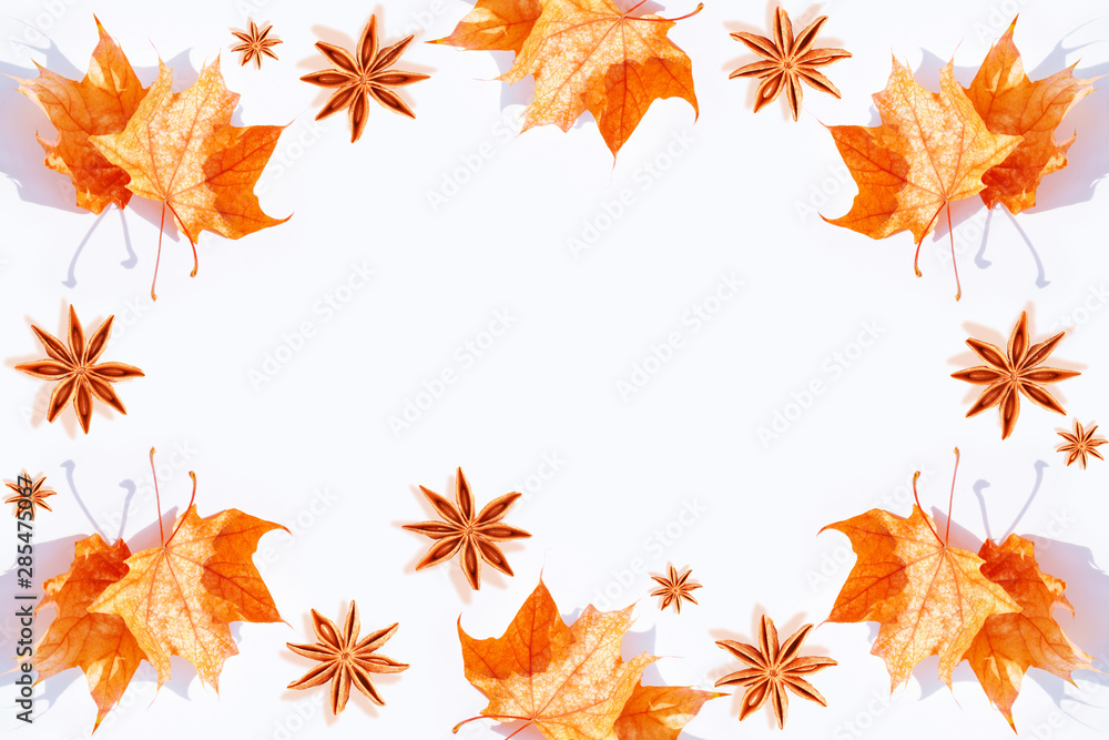 Bright colorful autumn leaves Bright colorful autumn leaves