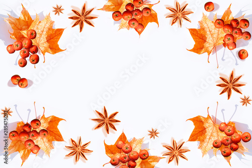 Bright colorful autumn leaves