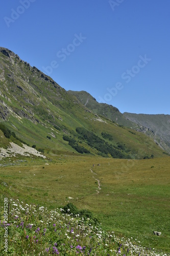 mountain