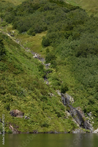 river in forest
