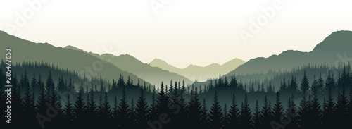 Vector panoramic landscape with green silhouettes of trees and hills photo