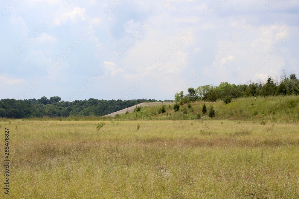 The grass field prairie in the country on a sunny day. The grass field prairie in the country on a sunny day.
