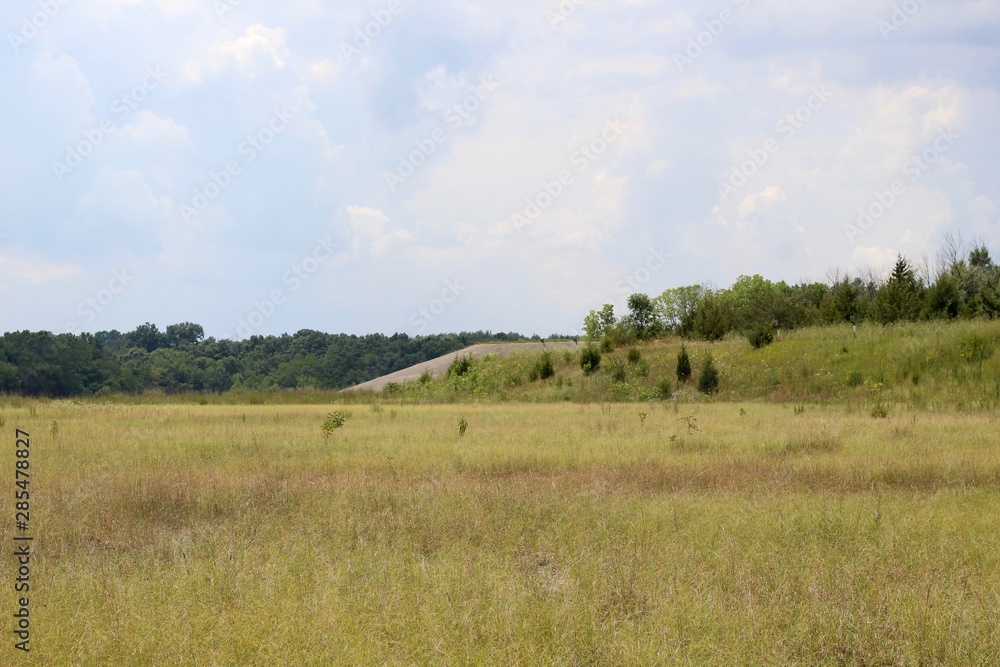 The grass field prairie in the country on a sunny day.