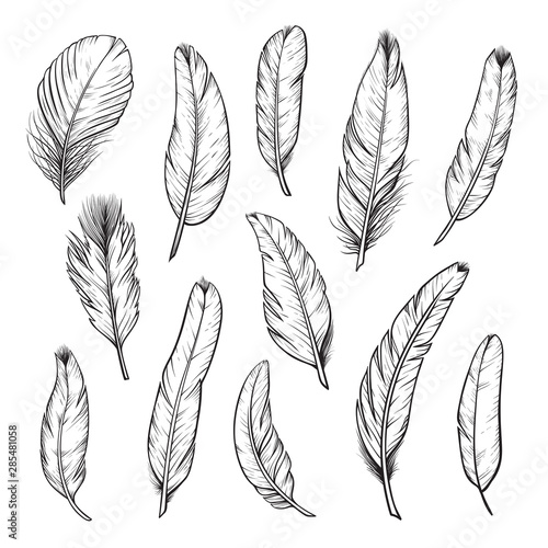 Birds feathers hand drawn illustrations isolated set