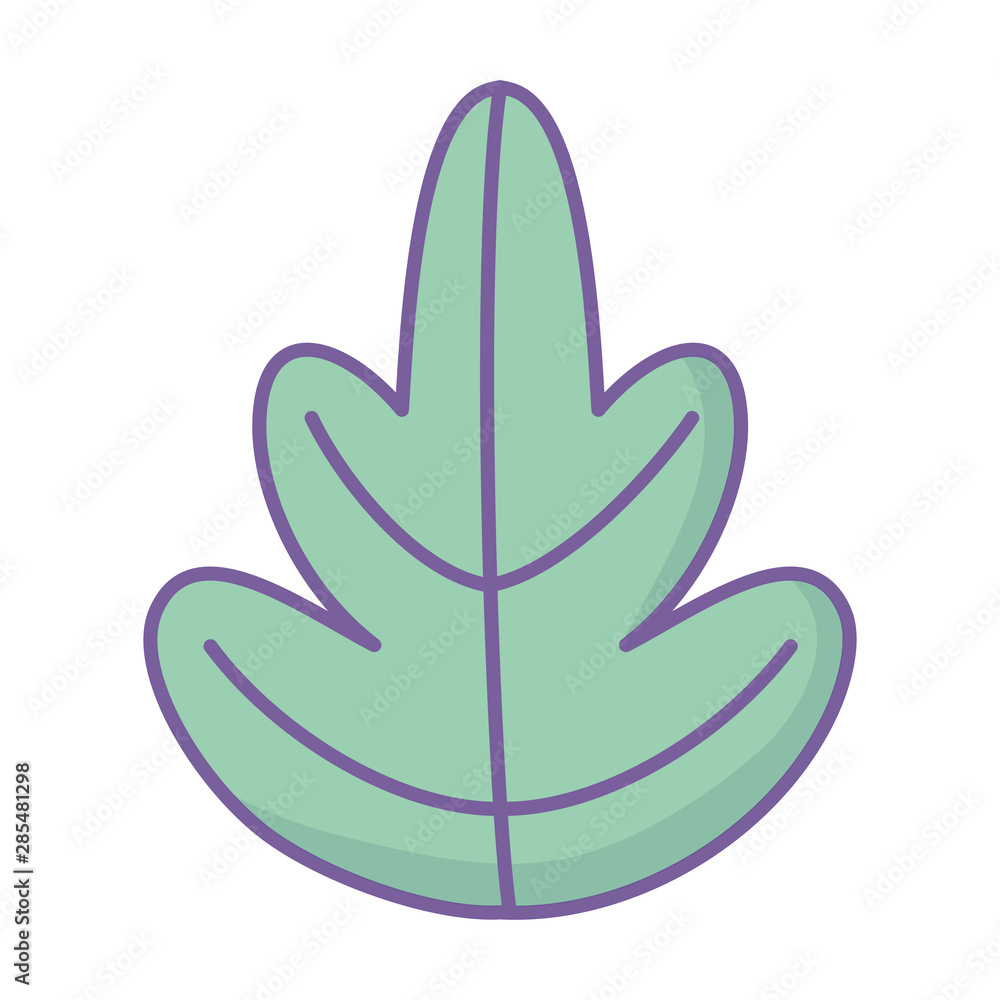 Isolated leaf vector design vector illustration Isolated leaf vector design vector illustration