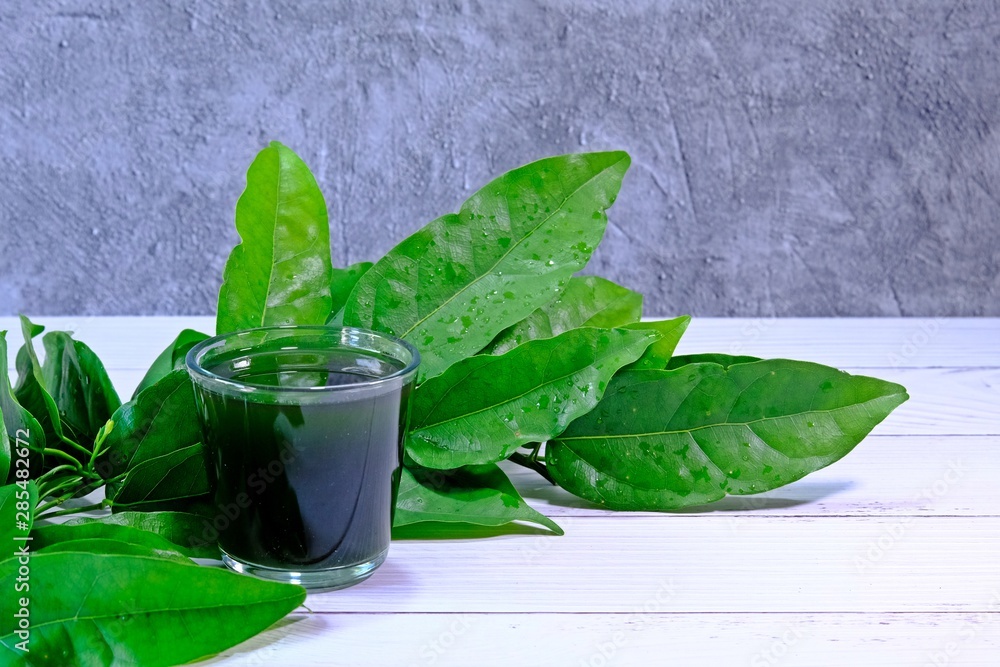 Fresh organic Bai Ya Nang (Tiliacora Triandra, Yanang) juice in a glass on white table decorated with leaves. Fresh organic Bai Ya Nang (Tiliacora Triandra, Yanang) juice in a glass on white table decorated with leaves.