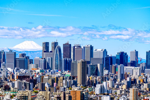 Canvas Print View of Tokyo skyline cityscape and Mt