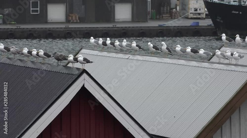 The capital of the Faroe Islands is the city of Torshavn.