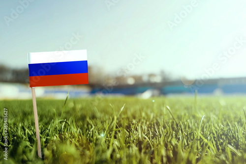 Miniature stick Russia flag on green grass, close up sunny field. Stadium background, copy space for text.