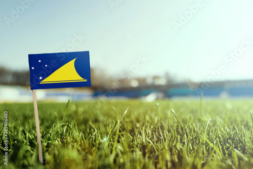Miniature stick Tokelau flag on green grass, close up sunny field. Stadium background, copy space for text.