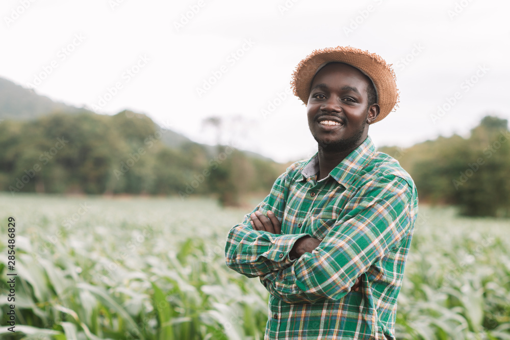 African farmer man stand at the green farm with happy and smile. Stock ...