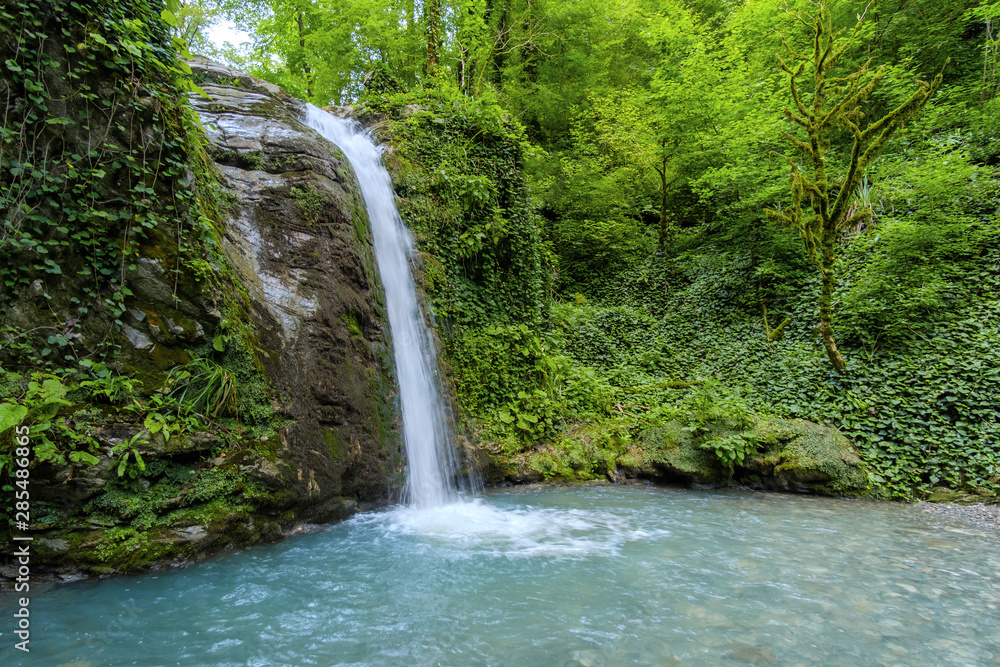 Mountain river in the gorge and stones covered with moss. Waterfall and dense vegetation. Mountain river in the gorge and stones covered with moss. Waterfall and dense vegetation.