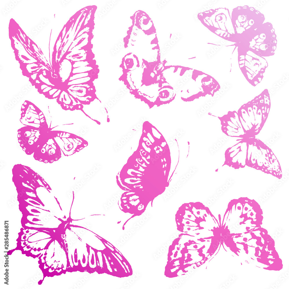butterfly229 butterfly229