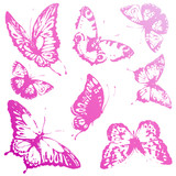 butterfly229