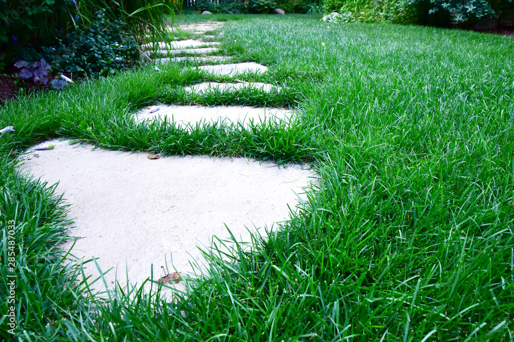 Obraz premium walking path through the yard and grass