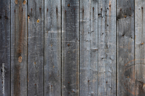 Wallpaper Mural Wood background. Old gray wooden fence with nails. Vintage style. Torontodigital.ca