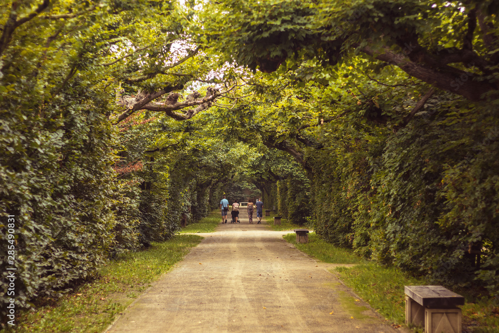 road through the alley - tree tunnel in park, people in the back (Flower garden in Kromeriz, Czech republic) road through the alley - tree tunnel in park, people in the back (Flower garden in Kromeriz, Czech republic)
