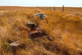 Rocks in a Grassy Field with Fence