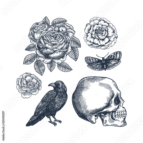 Raven, flowers, human skull and moth. Halloween horror design kit. vector illustration