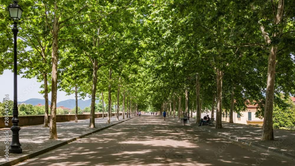 Timelapse sulla passeggiata delle Mura di Lucca Timelapse sulla passeggiata delle Mura di Lucca