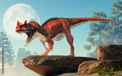 Fototapeta Naklejka Na Ścianę i Meble -  Ceratosaurus was a carnivorous theropod dinosaur of the Jurassic era most notable for the horns on its snout over its eyes. On a cliff by the moon. 3D Rendering.