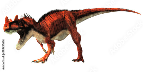 Ceratosaurus was a carnivorous theropod dinosaur of the Jurassic era most notable for the horns on its snout over its eyes. On a white background. 3D Rendering.