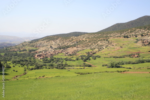 Champ et culture à flan de montagne au maroc