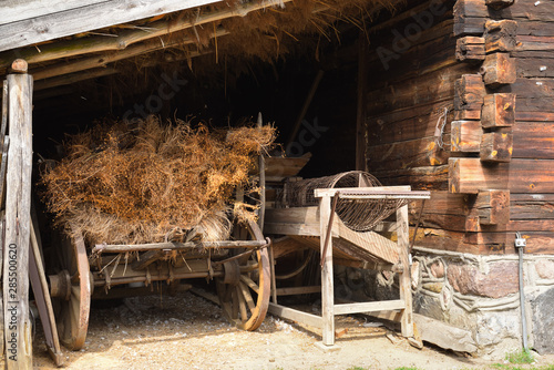 Hay cart in The Folk Culture Museum in Osiek by the river Notec. Poland, Europe photo