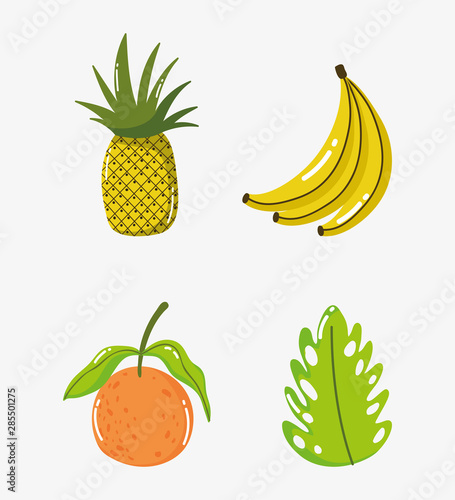 Fototapeta Naklejka Na Ścianę i Meble -  tropical fruits orange pineapple banana