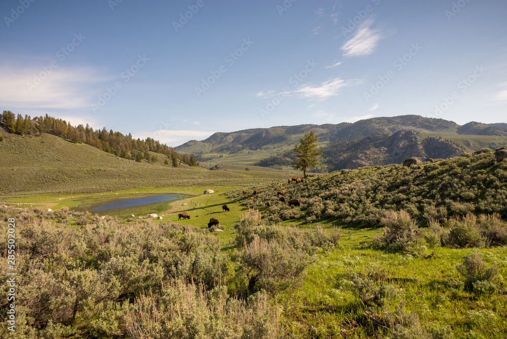 landscape in the mountains