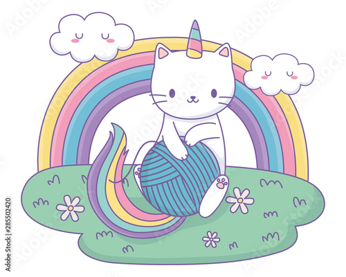 Photography Unicorn cat cartoon vector design