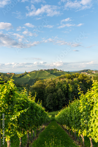 Austria, south styria vineyards travel destination. Tourist spot for vine