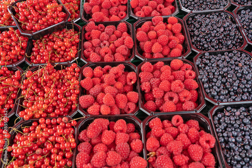Raspberries, currunt black and red, mix of seasonal berries on the market counter Raspberries, currunt black and red, mix of seasonal berries on the market counter