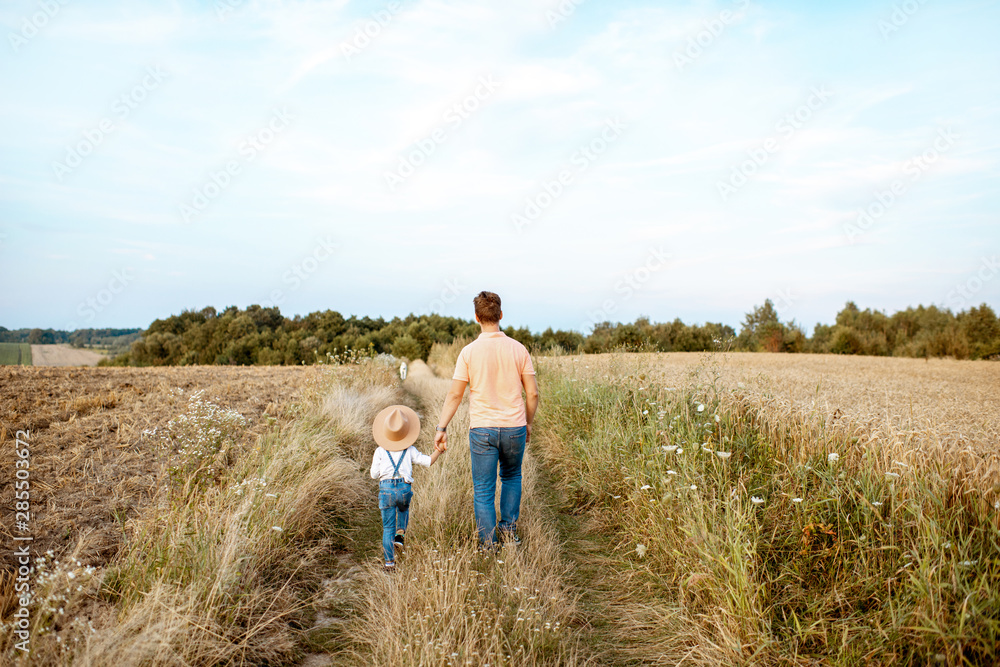 Father and young son walking keeping hands together on the field during the summer activity, back view