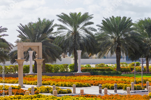 Photography Dubai street flowers decoration, UAE