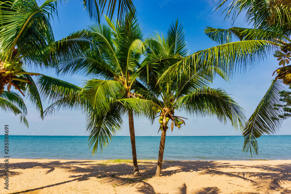 Beautiful tropical beach with Coconut palm trees on the sea.