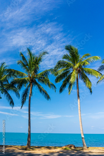 Beautiful tropical beach with Coconut palm trees on the sea.
